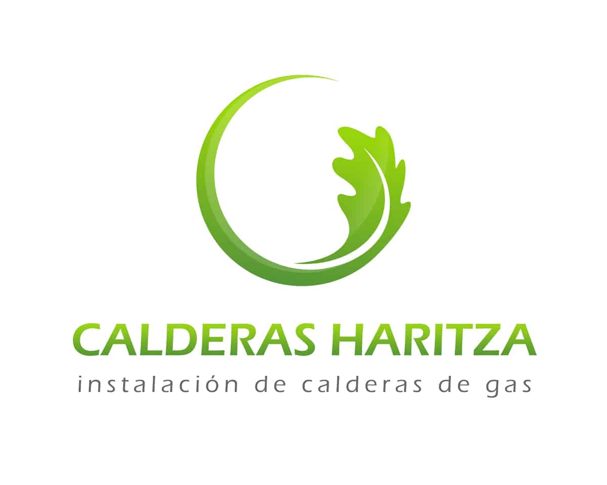 Caldera 4200i W 24/25 Condens gas natural-Briaqua