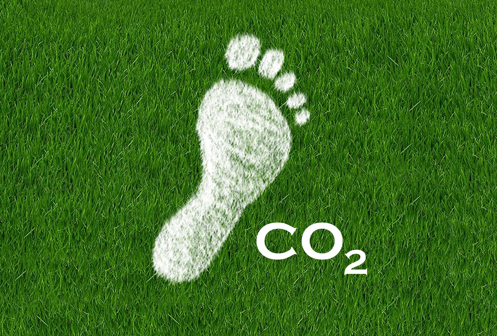 Qué es la huella de carbono y cómo podemos pararla?